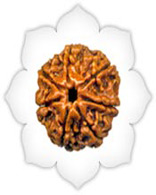 Versalis International