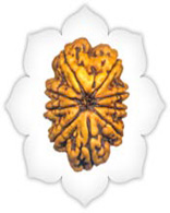 Versalis International