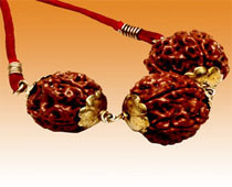 Versalis International