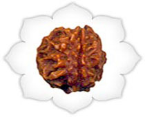 Versalis International