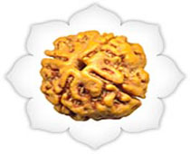 Versalis International