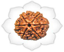 Versalis International