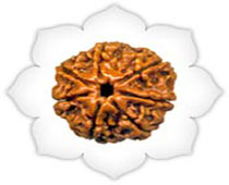 Versalis International