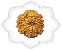 Versalis International