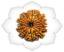 Versalis International