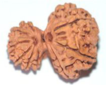 Versalis International