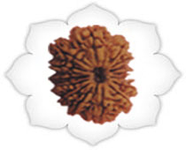 Versalis International