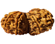 Versalis International