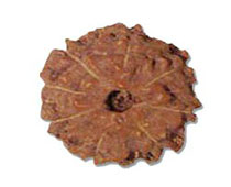 Versalis International