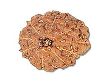 Versalis International