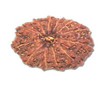 Versalis International