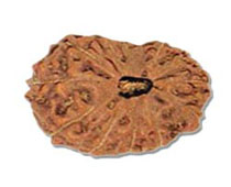 Versalis International