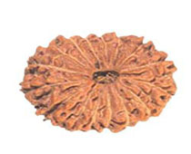 Versalis International
