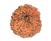 Versalis International
