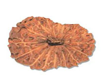Versalis International