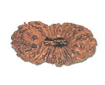 Versalis International