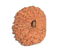 Versalis International
