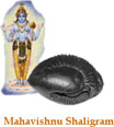 Mahavishnu Saligram